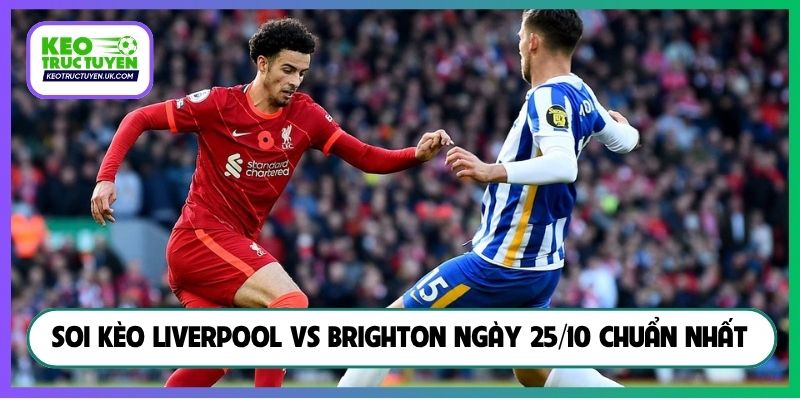 Soi kèo Liverpool vs Brighton ngày 25/10 chuẩn nhất